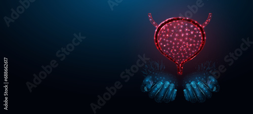 Two human hands are holds human bladder. Medical concept, bladder cancer, cystitis, human excretory system. Wireframe low poly style. Abstract vector illustration on dark blue background. photo