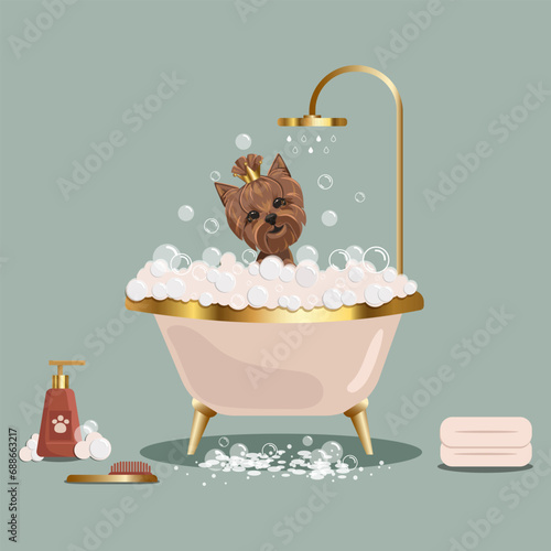 Flat vector banner pet grooming concept equipment elements in boho style. Cute dog character, takes a bubble bath and grooming tools for wool care. Yorkshire Terrie washing service the grooming salon.