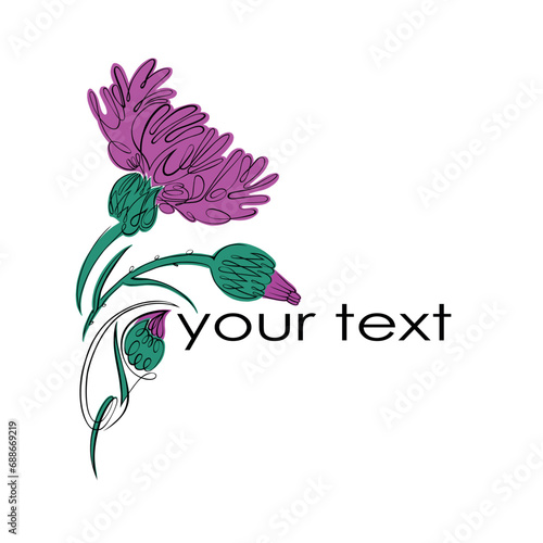 The logo with the image of a cornflower flower. Hand-drawn. A linear drawing on a transparent background.