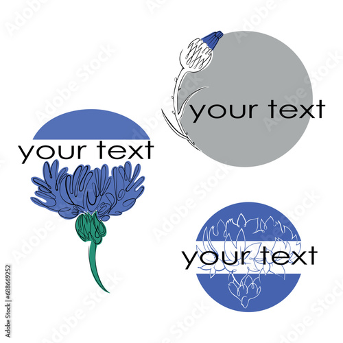 The logo with the image of a cornflower flower. Hand-drawn. A linear drawing on a transparent background.