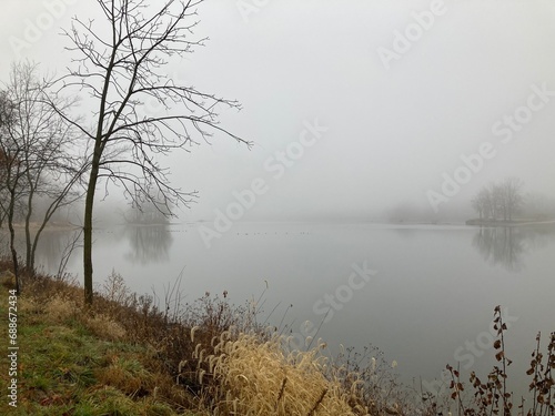 misty morning on the river