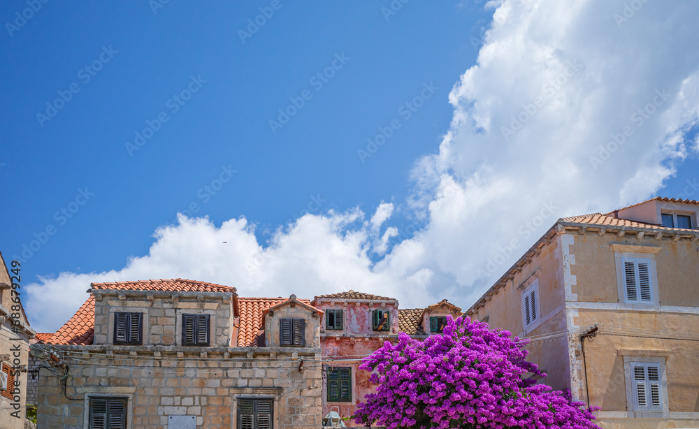 Bright pink bougainvillea bush blooming by the yellow facades in Cavtat village, Croatia on sunny summer day
