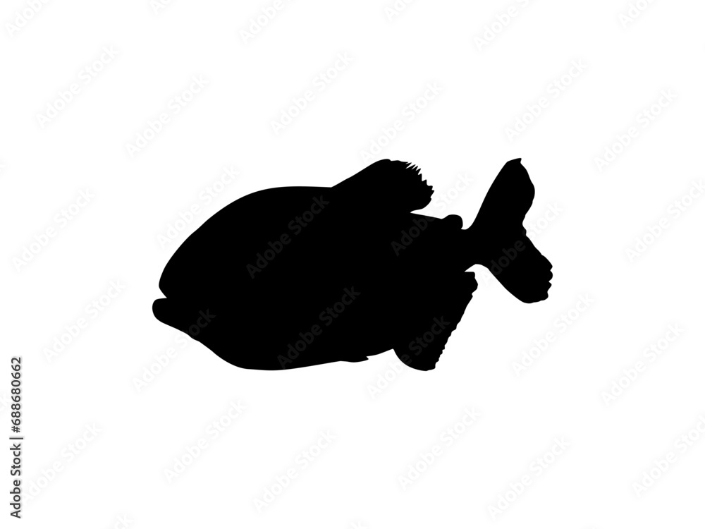 Piranha Fish Silhouette, can use for Logo Gram, Website, Art Illustration, Pictogram, Icon or Graphic Design Element. Vector Illustration Piranha Fish Silhouette, can use for Logo Gram, Website, Art Illustration, Pictogram, Icon or Graphic Design Element. Vector Illustration