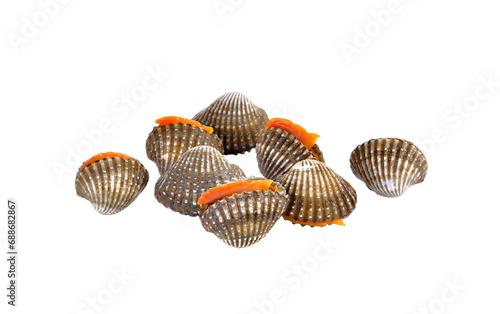 fresh cockles seafood on   transparent png