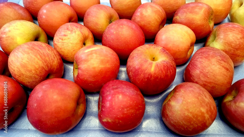 fruit sample at food exhibition