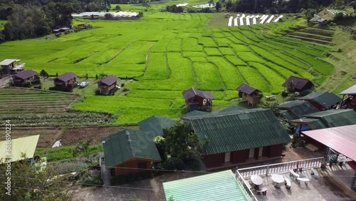 The green fields were dotted with many wooden houses. Rice field on Mae Klang Luang village, Doi Inthanon, northern Thailand