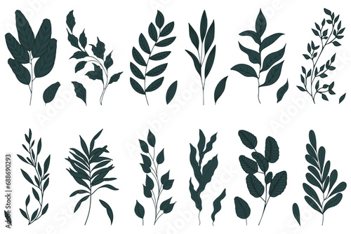 Set of elegant silhouettes of flowers, branches and leaves. Thin hand drawn vector botanical elements 
