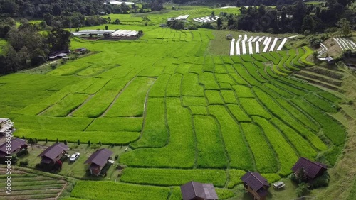 The green fields were dotted with many wooden houses. Rice field on Mae Klang Luang village, Doi Inthanon, northern Thailand