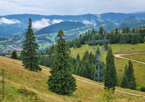Beautiful landscape with spruce forest, fog, hills and green grass in the Carpathian Mountains, Transylvania, Romania.
