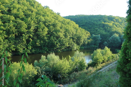 Dense forest along a wide river. A dirt road along the Dniester River.