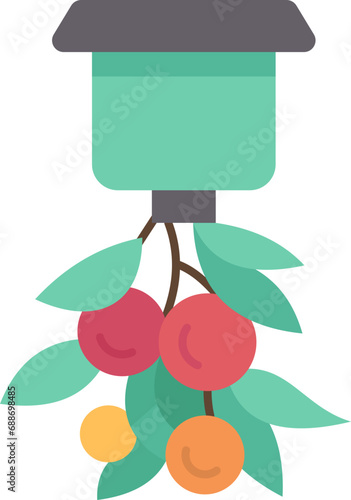 tomato  icon
