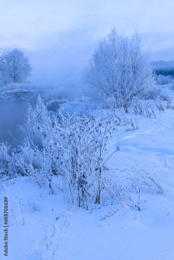Fototapeta premium snow covered trees