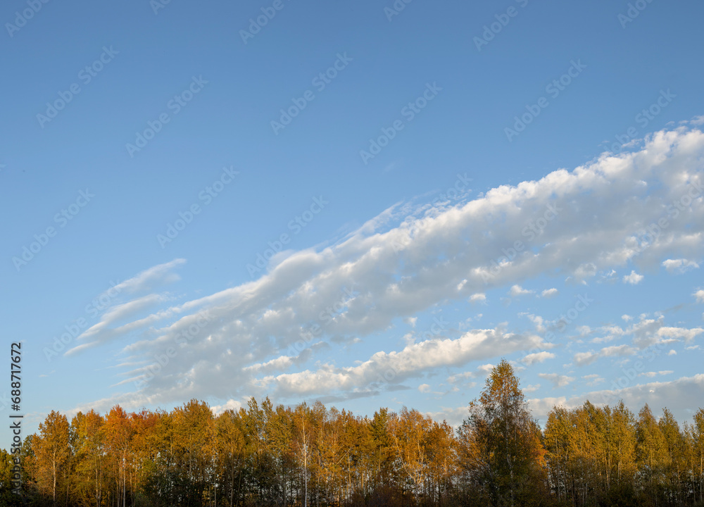 Fototapeta premium White clouds, panoramic view of sky with clouds