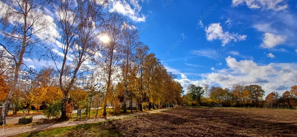 Obraz premium herbst