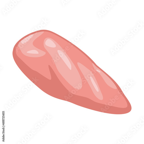 Fresh raw chicken fillet. Vector color vector illustration. Icon isolated on white background for poster, menus, brochure, web.