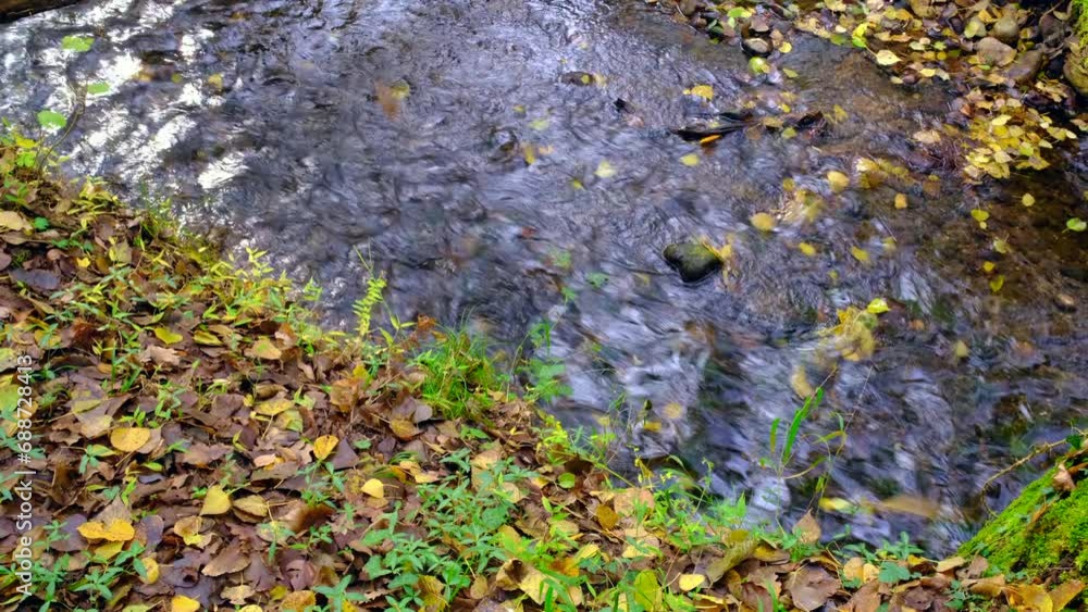 Autumn: stream flows slowly as the leaves fall. Calm and tranquility. Autumn: stream flows slowly as the leaves fall. Calm and tranquility.