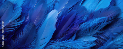 Beautiful background of dark blue feathers. Close-up.