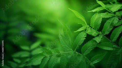 Copy space and a green leaf were utilized to create a background for a concept depicting summer nature.