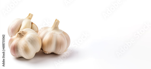 Garlic isolated on white background