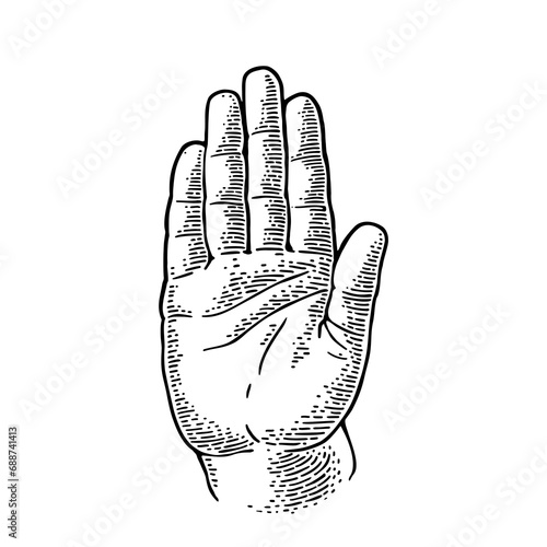 Hand showing stop gesture. Front view. Vector monochrome vintage engraving illustration isolated on a white background. For web, poster, info graphic.