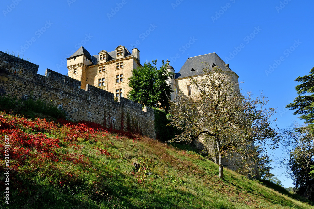 Castelnaud la Chapelle; France - october 7 2023 : Fayrac castle
