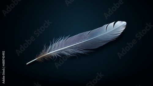 Minimalist Gray and White Feather on a Black Background
