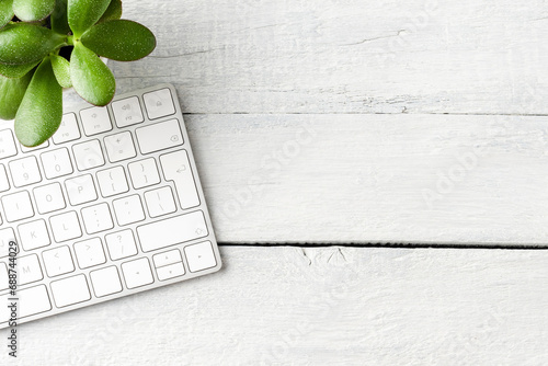Modern computer keyboard with green succulent on white wooden background. Office desktop. Top view photo