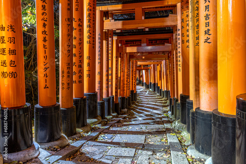 path under the torii  in the fushimi inari temple photo