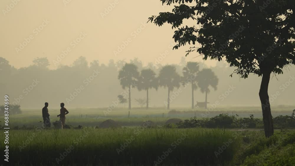Foggy winter morning video of rural Bangladesh with ambient sound. Serene and picturesque footage for use in videos about nature, travel, and rural life. Biking, cycling, hiking, travel, vacation Foggy winter morning video of rural Bangladesh with ambient sound. Serene and picturesque footage for use in videos about nature, travel, and rural life. Biking, cycling, hiking, travel, vacation