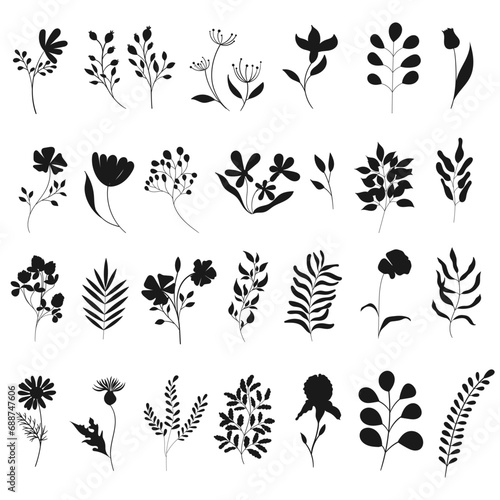 Set of plant silhouettes. Flat drawings on botanical theme. Minimalism in the depiction of flora. Flowers and branches for your design. photo