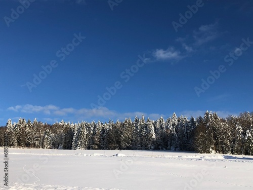 Verzauberter Winterwald im Bayerischen Wald, Bayern, Deutschland, Europa 