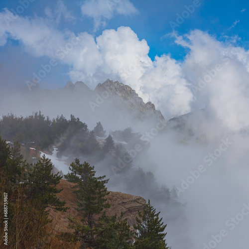 snowbound mountain valley with fir forest in mist