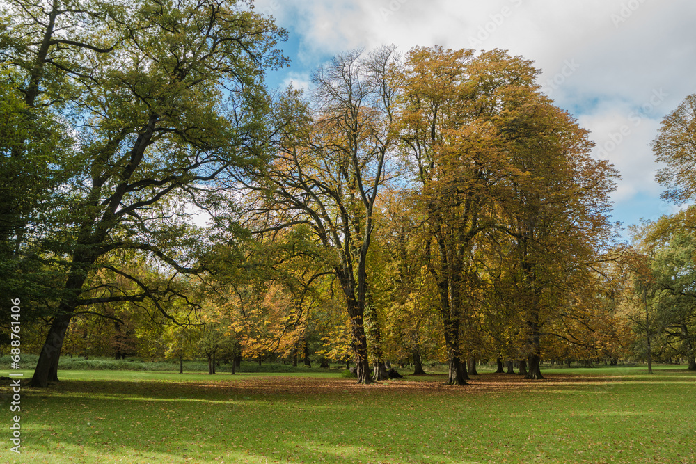Bäume im Herbst , Tiergarten Hannover Bäume im Herbst , Tiergarten Hannover