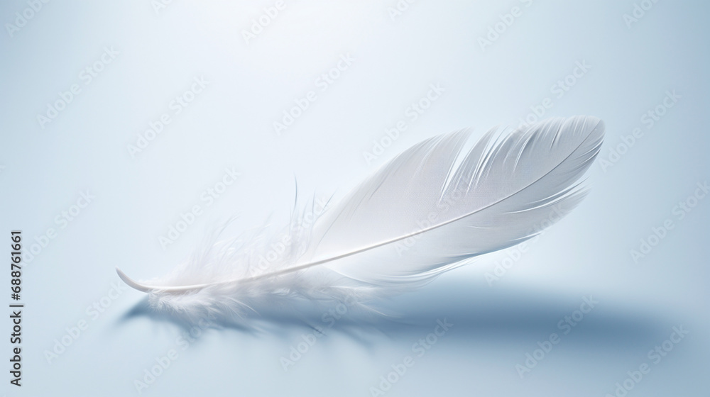 Obraz premium A white feather on a neutral surface