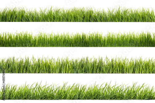 A set of long horizontal stripes of green grass cut out on a transparent background in PNG format. A strip of grass with various sprouts, side view, close-up.