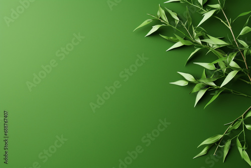 Fond vert avec espace vide de composition et feuilles sur le côté. Bordure, nature, écologie. Pour conception et création graphique.