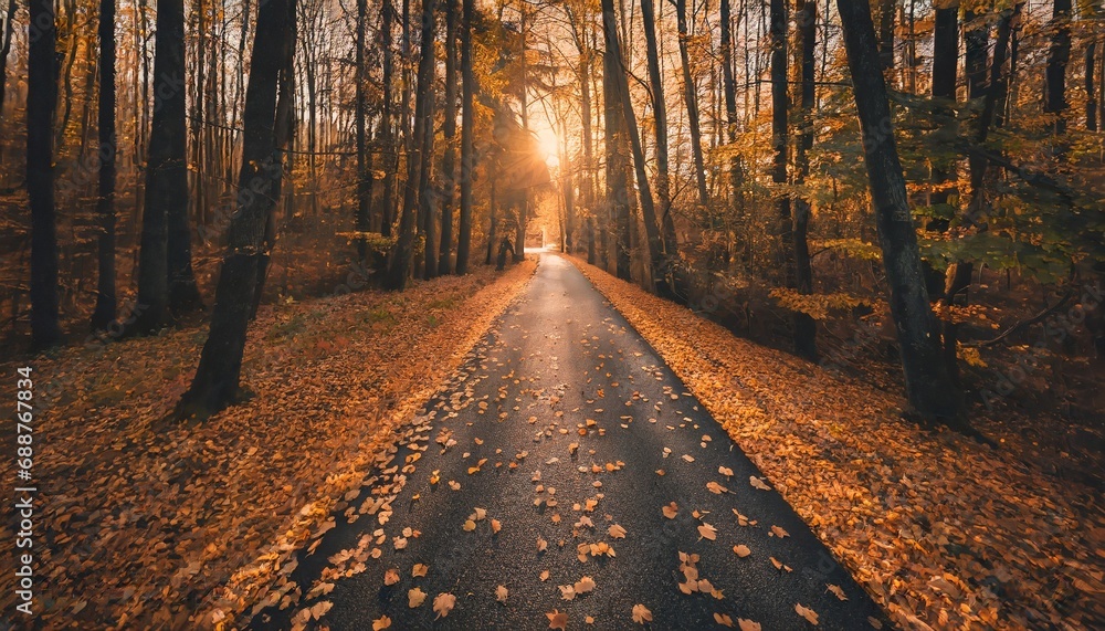 Sunlit Road Covered in Autumn Leaves