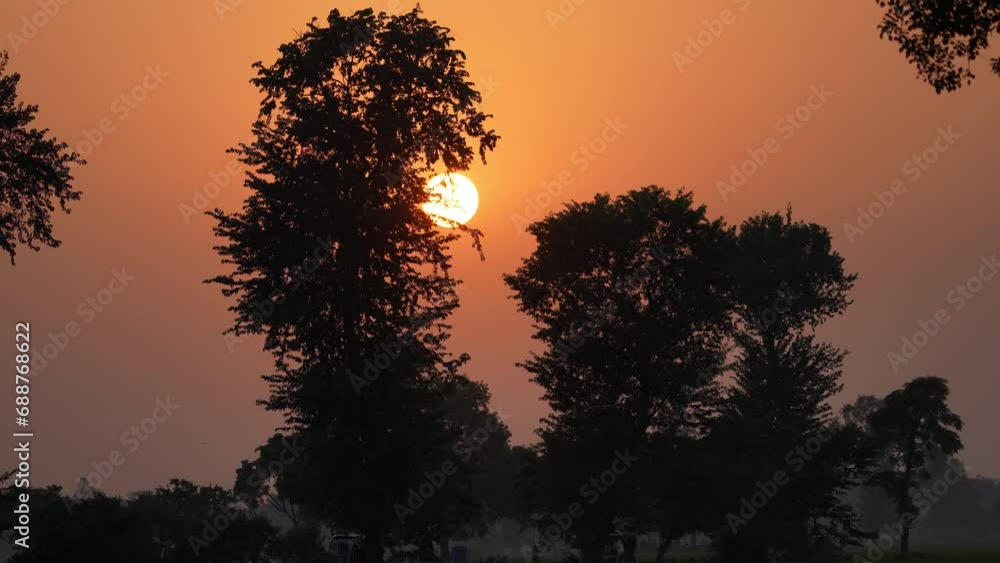 Sun setting behind trees. Sunset view of a rural area, with a colorful sky. This peaceful and idyllic scene captures the beauty of rural life and the magic of nature. Sun setting behind trees. Sunset view of a rural area, with a colorful sky. This peaceful and idyllic scene captures the beauty of rural life and the magic of nature.