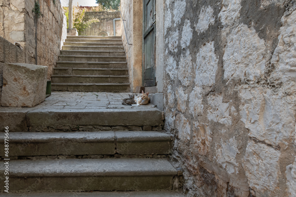 2 cats resting on empty staircase in Vis in Croatia