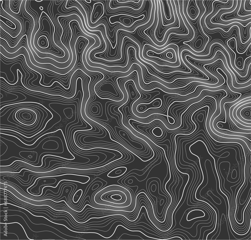 Grey contours vector topography. Mountain terrain geographic map. Elevation graphic contour height lines. Topographic map