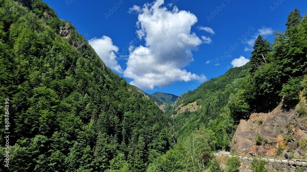 Beautiful landscape view to the Carpathian Mountains, in Romania, with green hills and coniferous forests.