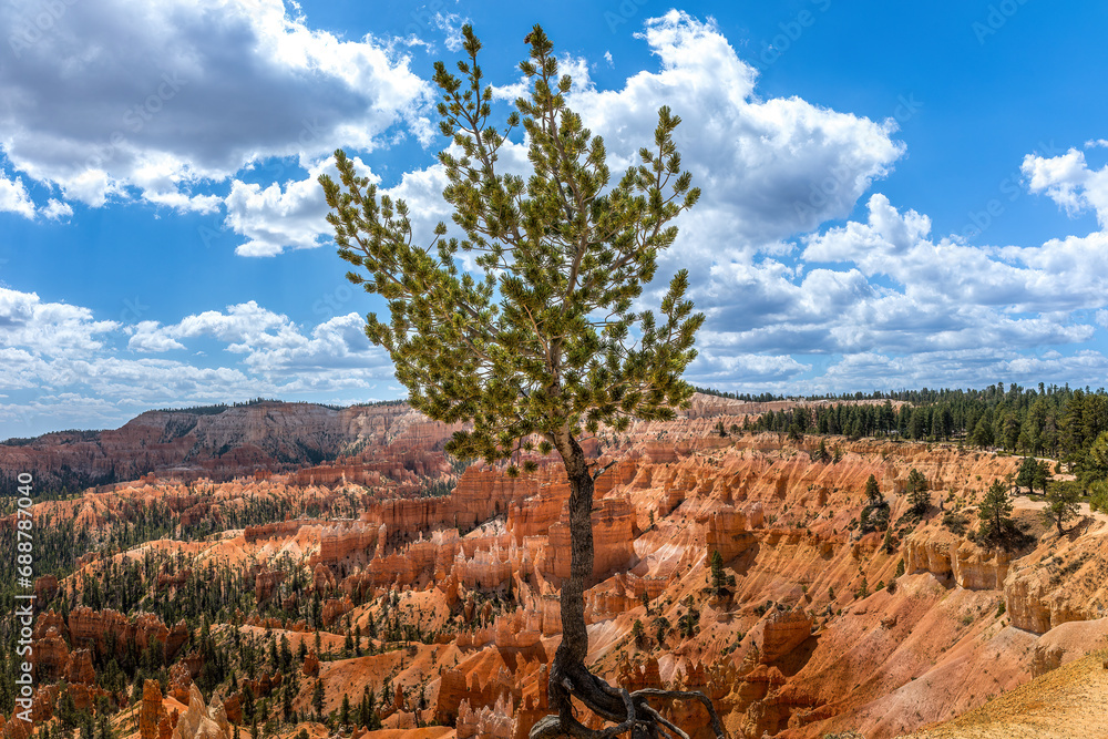 Scenic view over the Bryce Canyon National Park, USA Scenic view over the Bryce Canyon National Park, USA