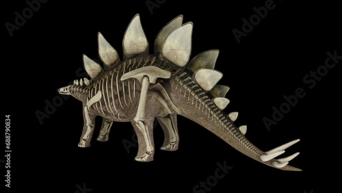 3D illustration of Stegosaurus, with skeletal system overlay. © Stocktrek Images