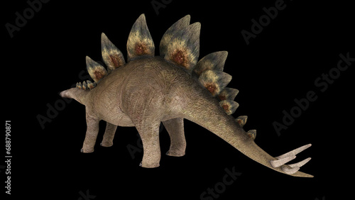 Stegosaurus dinosaur. © Stocktrek Images