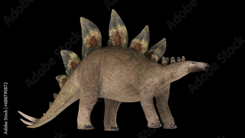 Stegosaurus dinosaur, side view on black background.