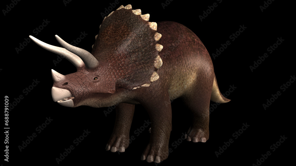 Fototapeta premium Triceratops dinosaur.