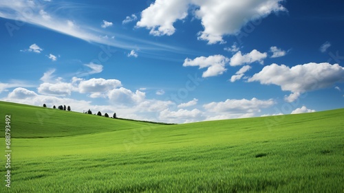 the green fields of the countryside under a blue sky