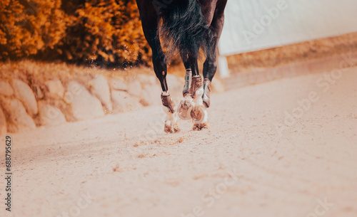 Foto The legs of a horse that gallops quickly through the arena on an autumn day