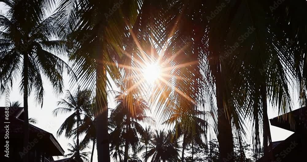 Sun rays in palm trees in the morning at luxury tropical resort Sun rays in palm trees in the morning at luxury tropical resort
