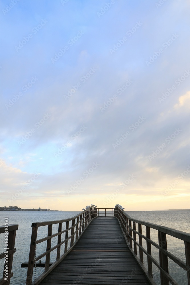 Wooden boardwalk with gulls by the ocean.  
